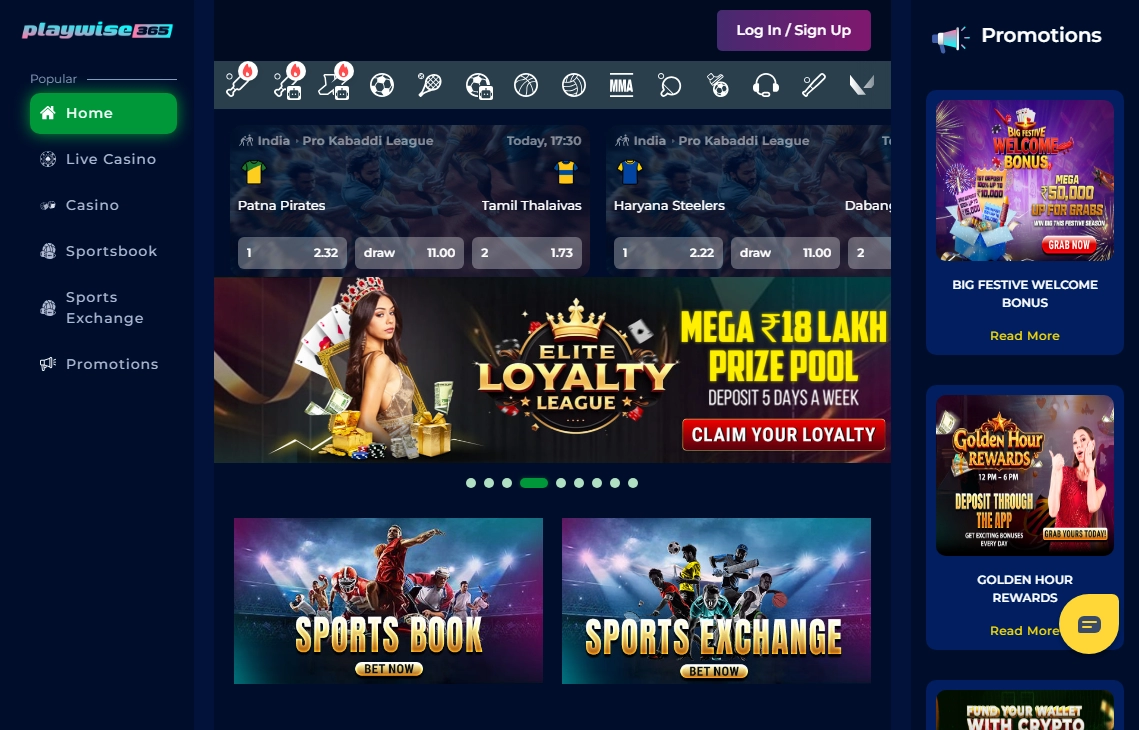 PlayWise365 Casino